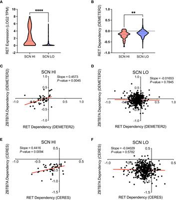 ZBTB7A as a novel vulnerability in neuroendocrine prostate cancer